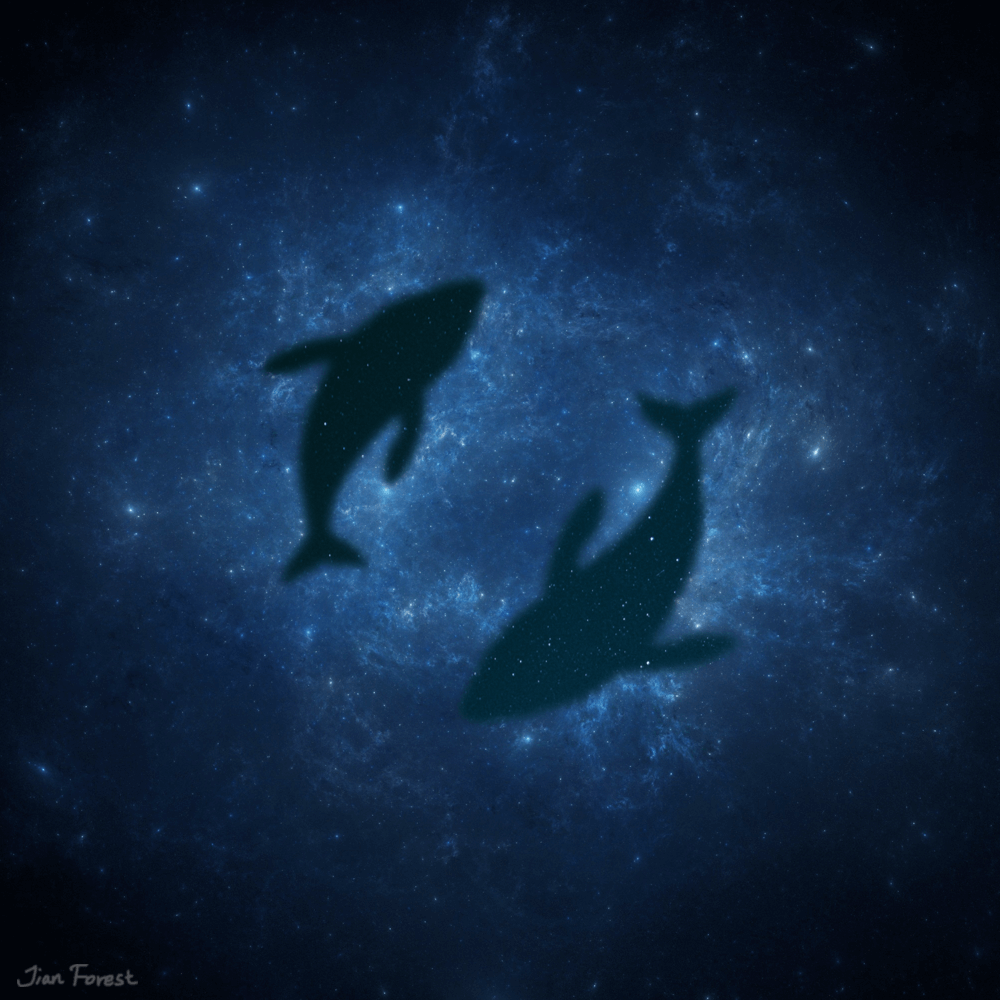 space, whales, space whales, jian forest